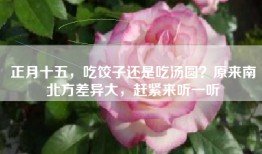 正月十五，吃饺子还是吃汤圆？原来南北方差异大，赶紧来听一听