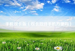 手机双卡版（双卡双待手机方便吗）