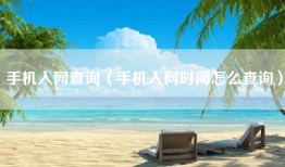 手机入网查询（手机入网时间怎么查询）
