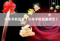 小米手机音量（小米手机音量调节）