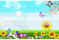 手机分期好不好（手机分期到底好不好）