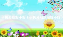 手机分期好不好（手机分期到底好不好）