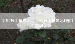 手机右上角显示（手机右上角显示E是什么意思）