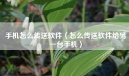 手机怎么传送软件（怎么传送软件给另一台手机）