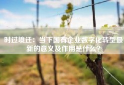 时过境迁：当下国有企业数字化转型最新的意义及作用是什么？