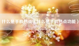 什么是手机热点（什么是手机热点功能）