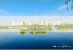 鲁手机（鲁手机版官方下载）