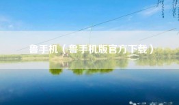 鲁手机（鲁手机版官方下载）