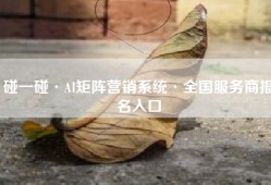 碰一碰·AI矩阵营销系统·全国服务商报名入口