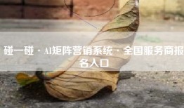 碰一碰·AI矩阵营销系统·全国服务商报名入口