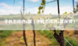 手机怎样连u盘（手机怎样连u盘视频）