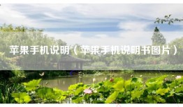 苹果手机说明（苹果手机说明书图片）