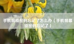 手机屏锁密码忘记了怎么办（手机屏幕锁密码忘记了）