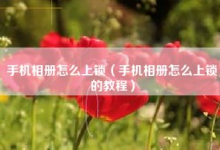 手机相册怎么上锁（手机相册怎么上锁的教程）