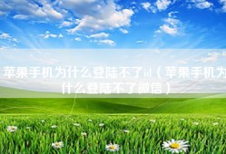 苹果手机为什么登陆不了id（苹果手机为什么登陆不了微信）