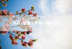 手机4播播（手机f4v播放器）