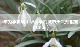 华为手机城（华为手机城市天气预报如何删除）