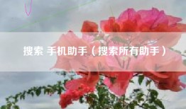 搜索 手机助手（搜索所有助手）