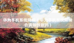 华为手机系统降级（华为手机系统降级会清除数据吗）