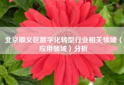 北京顺义区数字化转型行业相关领域（应用领域）分析