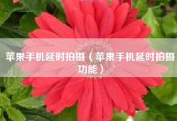 苹果手机延时拍摄（苹果手机延时拍摄功能）