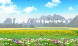 手机电简（手机电简在哪里关）
