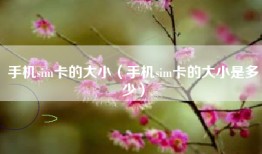 手机sim卡的大小（手机sim卡的大小是多少）