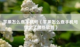 苹果怎么查手机号（苹果怎么查手机号绑定了哪些软件）