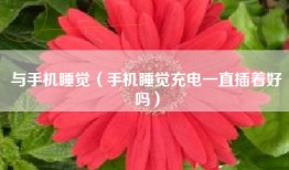 与手机睡觉（手机睡觉充电一直插着好吗）