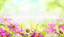 手机相机哪个好用（手机好用的相机）