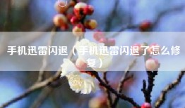 手机迅雷闪退（手机迅雷闪退了怎么修复）