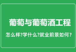 葡萄与葡萄酒工程专业怎么样_就业方向及前景分析