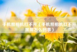 手机照相机打不开（手机照相机打不开黑屏怎么回事）