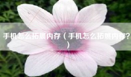 手机怎么拓展内存（手机怎么拓展内存？）