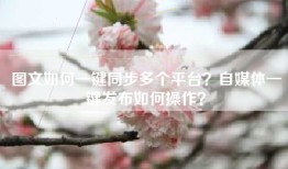 图文如何一键同步多个平台？自媒体一键发布如何操作？