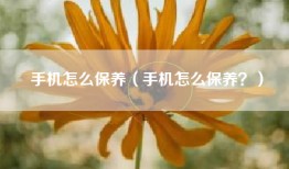 手机怎么保养（手机怎么保养？）