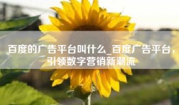 百度的广告平台叫什么_百度广告平台，引领数字营销新潮流
