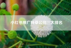 小红书推广种草公司三大排名