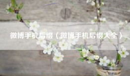 微博手机后缀（微博手机后缀大全）