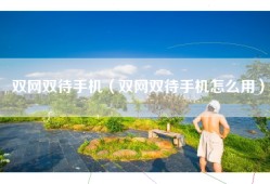 双网双待手机（双网双待手机怎么用）
