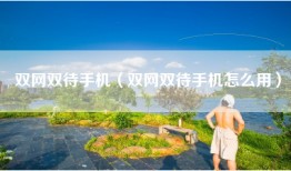 双网双待手机（双网双待手机怎么用）