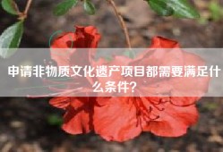 申请非物质文化遗产项目都需要满足什么条件？