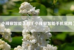 小辣椒智能手机（小辣椒智能手机官网）