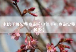 电信手机欠费查询（电信手机查询欠费多少）