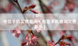电信手机欠费查询（电信手机查询欠费多少）