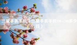 三星手表手机（三星手表手机SM-v700多少钱）