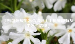 手机缝隙灰尘怎么清理（手机缝隙有灰尘怎么清理）