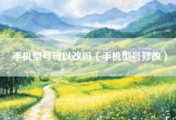 手机型号可以改吗（手机型号修改）