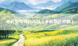 手机型号可以改吗（手机型号修改）