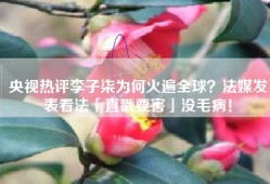 央视热评李子柒为何火遍全球？法媒发表看法「直戳要害」没毛病！